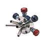 Quad Manifold